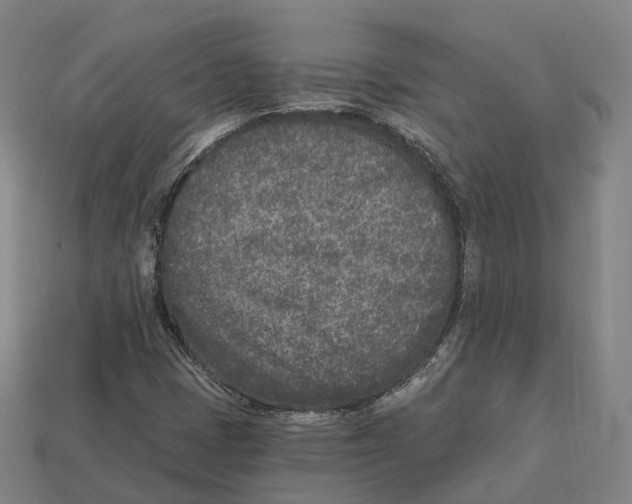 X0000113101401200909251022