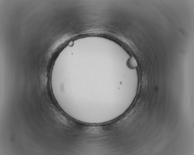 X0000113101406200909251022