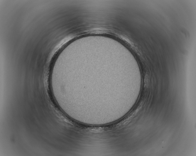 X0000113101410200909251022