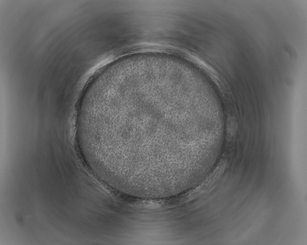 X0000113101411200909251022