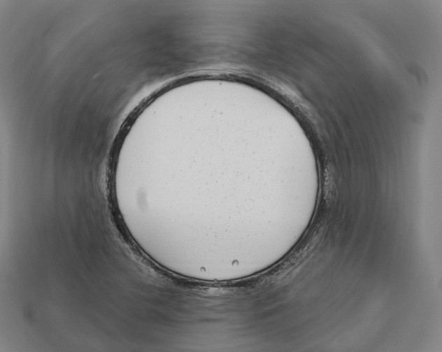 X0000113101412200909251022