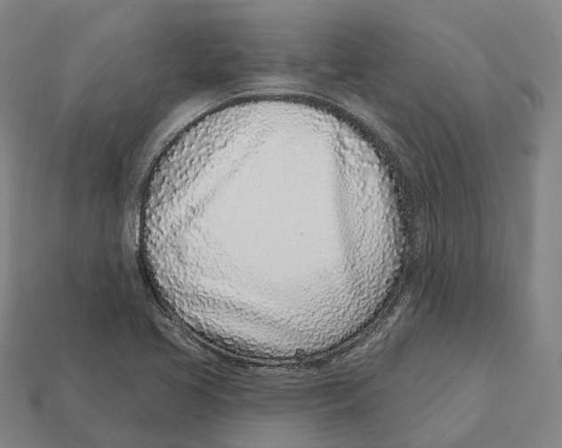 X0000113101413200909251022