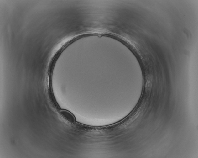 X0000113101414200909251022