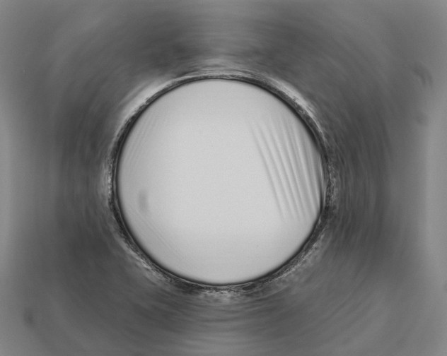 X0000113101415200909251022