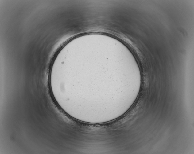 X0000113101416200909251022