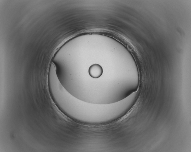 X0000113101417200909251022
