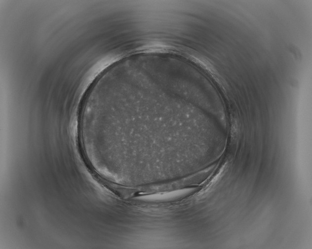 X0000113101418200909251022