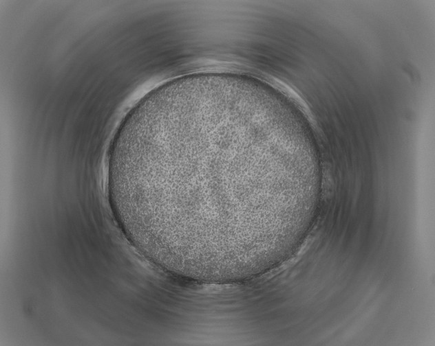 X0000113101419200909251022