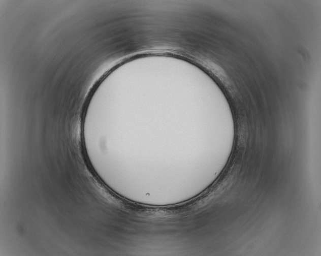 X0000113101420200909251022