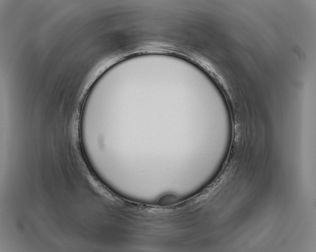 X0000113101421200909251022