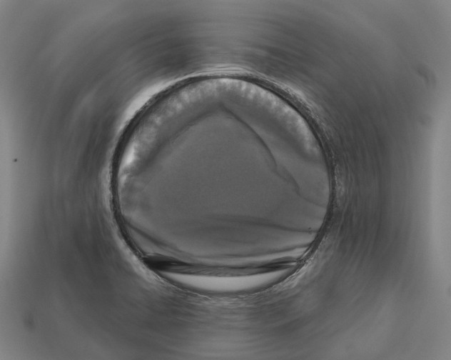 X0000113101422200909251022