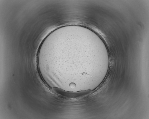 X0000113101423200909251022