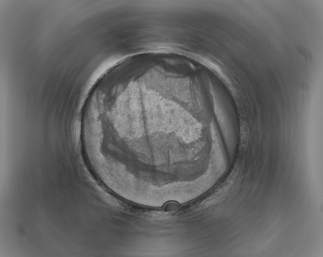 X0000113101424200909251022
