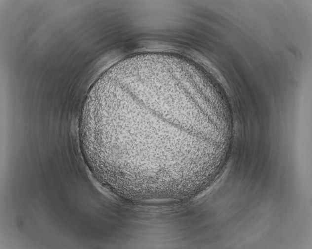 X0000113101425200909251022