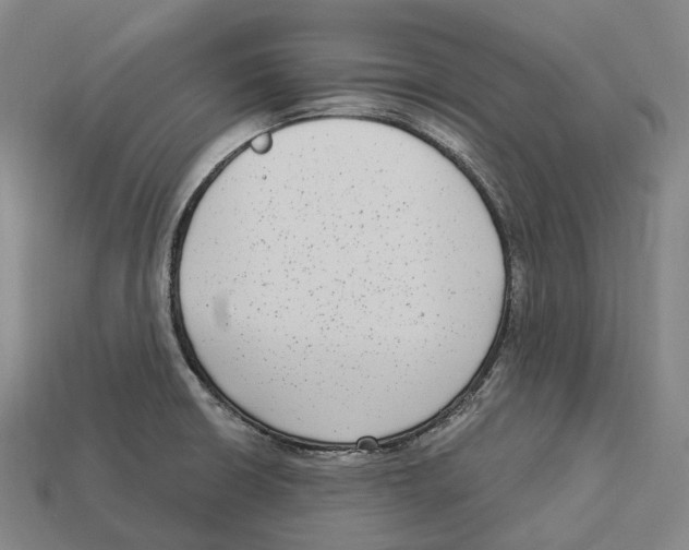 X0000113101426200909251022