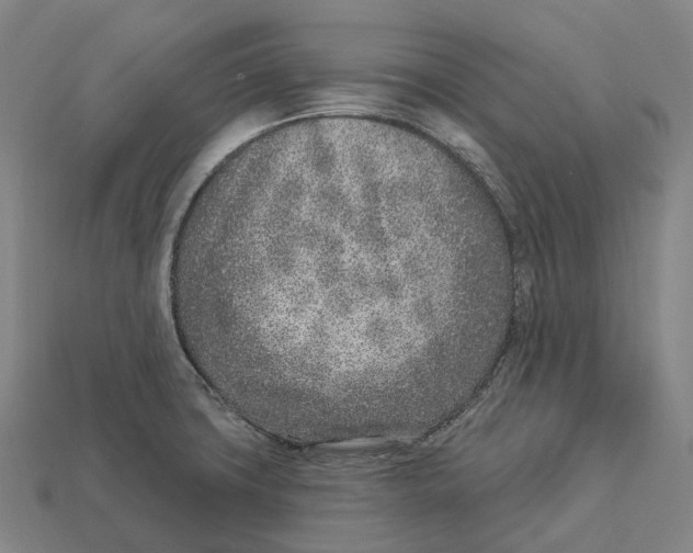 X0000113101427200909251022