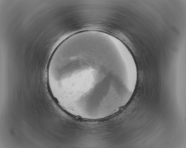 X0000113101428200909251022