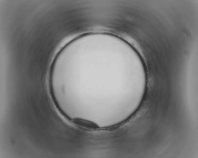 X0000113101429200909251022