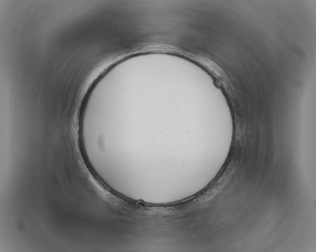 X0000113101430200909251022