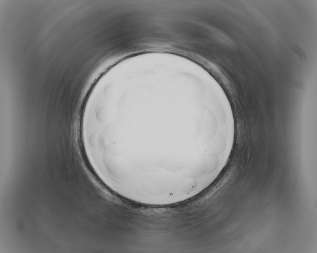 X0000113101432200909251022