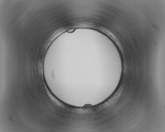 X0000113101433200909251022
