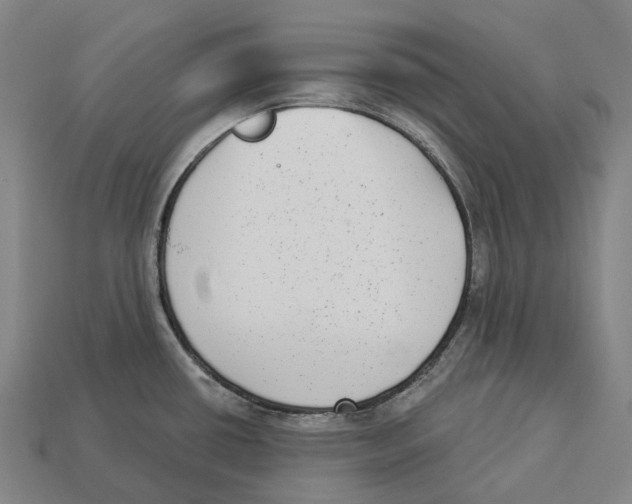 X0000113101434200909251022