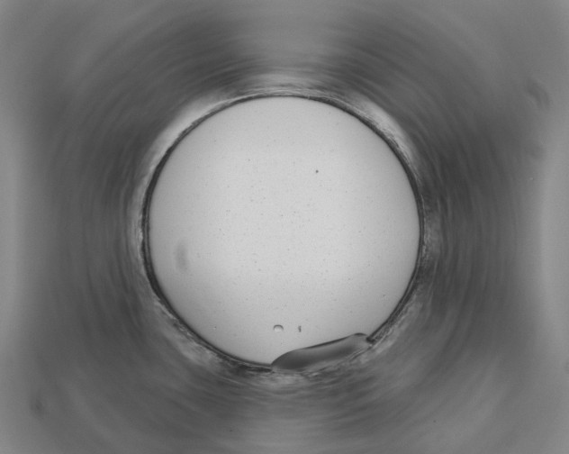 X0000113101435200909251022