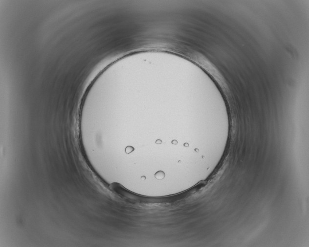 X0000113101436200909251022