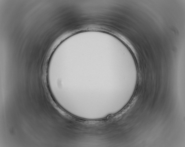 X0000113101437200909251022