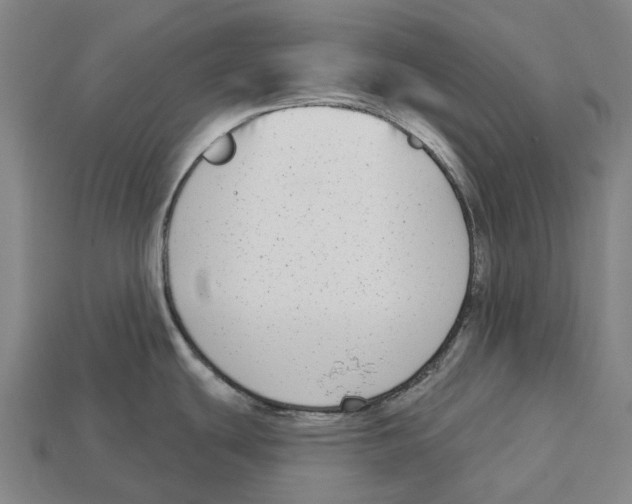 X0000113101439200909251022
