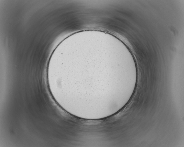X0000113101440200909251022