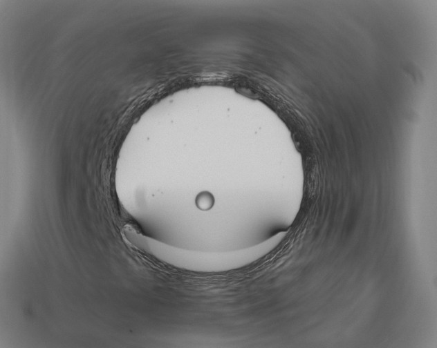 X0000113101441200909251022