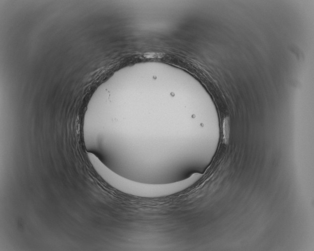 X0000113101443200909251022