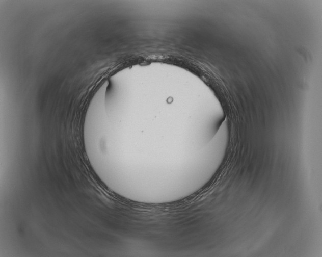 X0000113101444200909251022