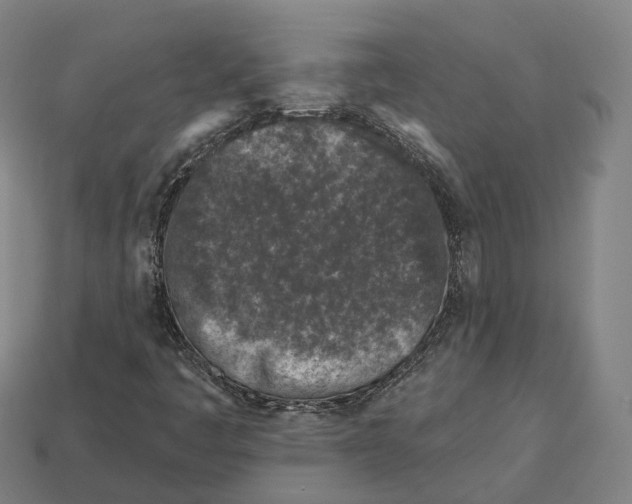 X0000113101445200909251022