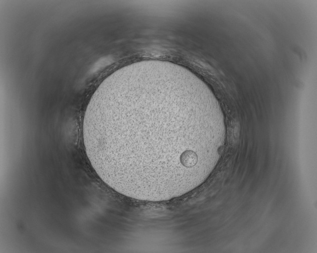X0000113101446200909251022