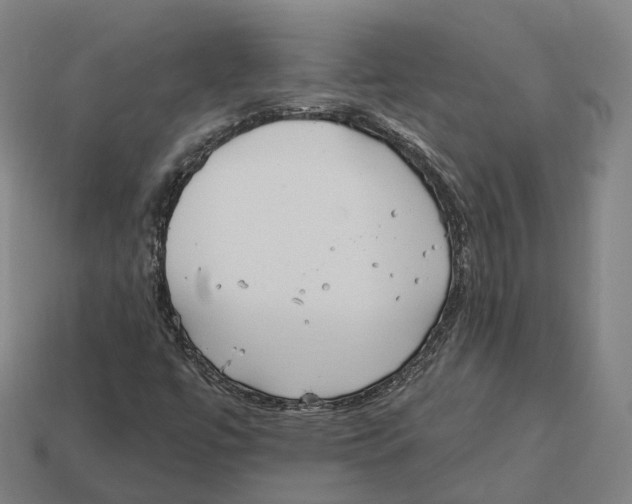 X0000113101447200909251022