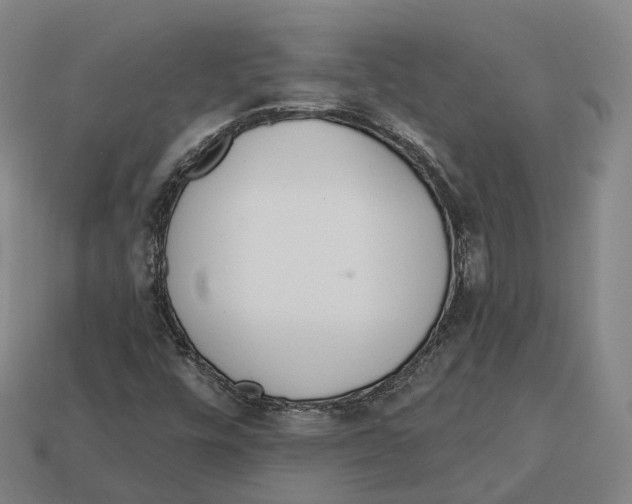 X0000113101448200909251022