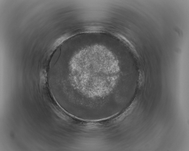 X0000113101449200909251022