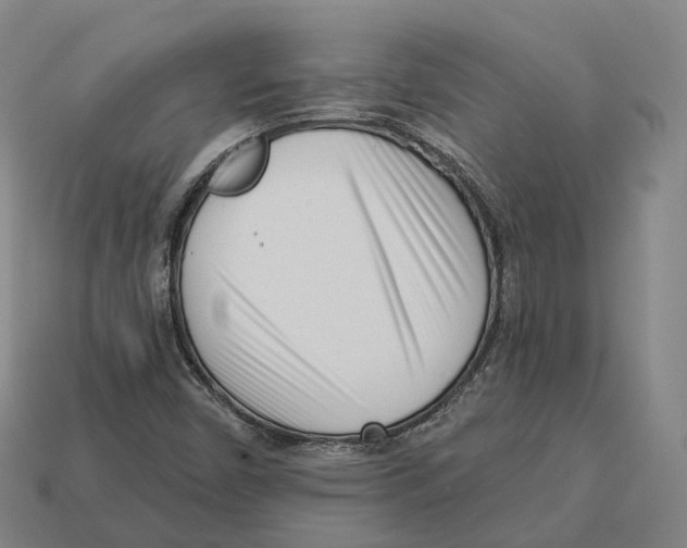 X0000113101450200909251022