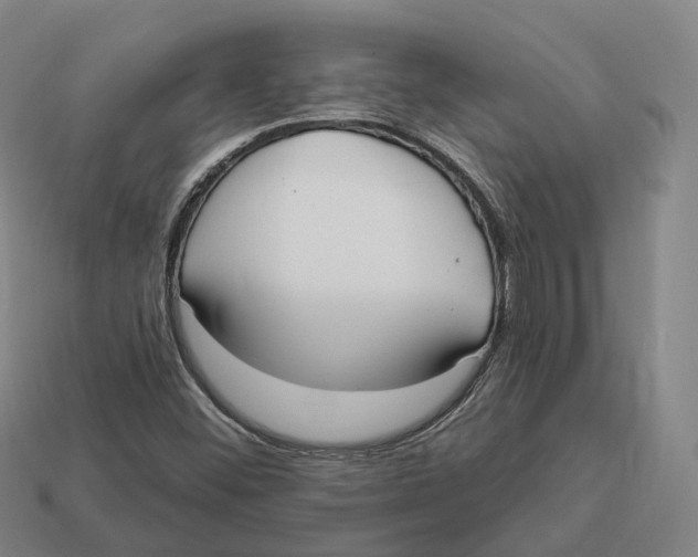 X0000113101452200909251022