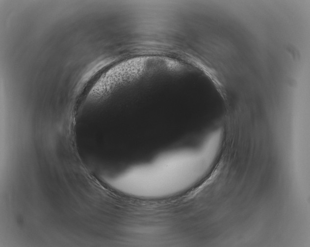 X0000113101453200909251022