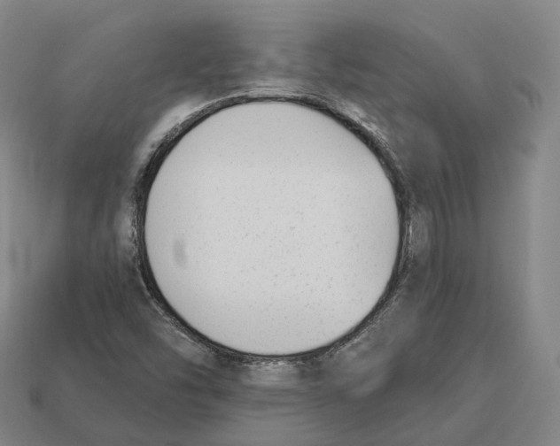 X0000113101454200909251022
