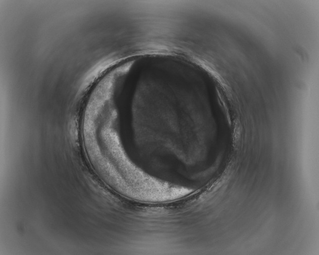 X0000113101455200909251022