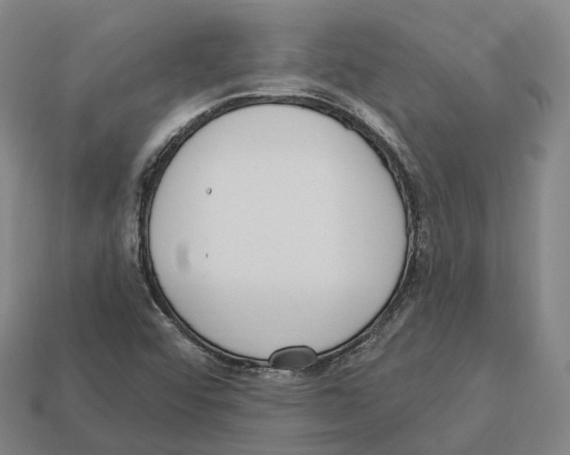 X0000113101456200909251021