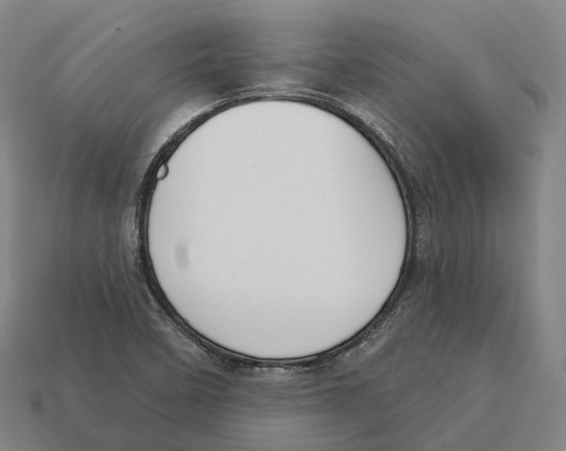 X0000113101458200909251021