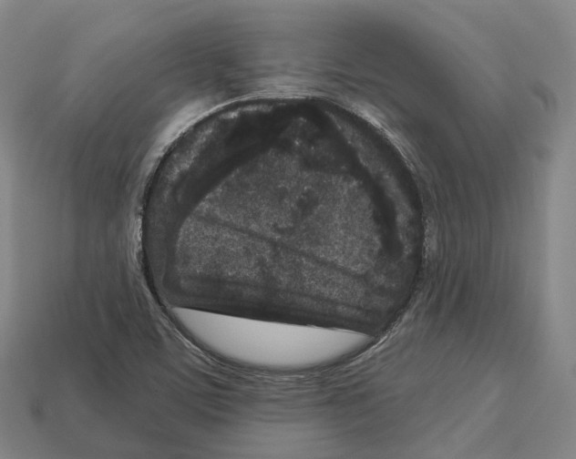 X0000113101459200909251021
