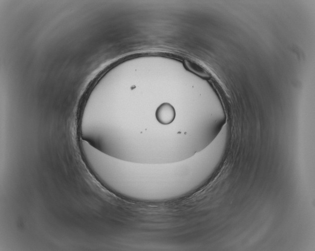 X0000113101460200909251021