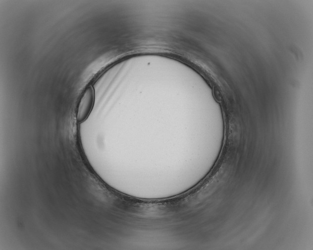 X0000113101461200909251021