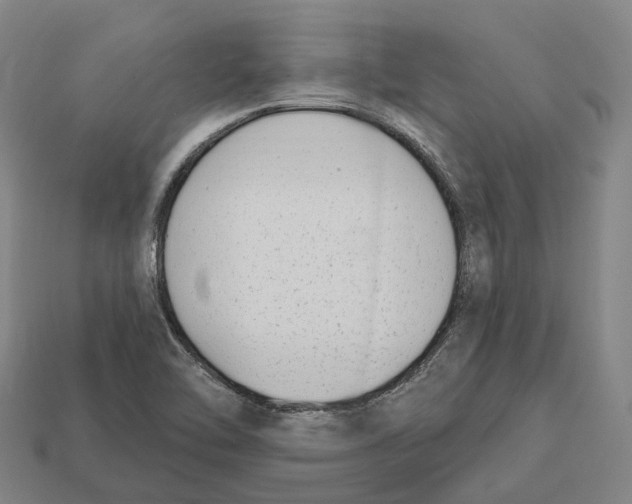 X0000113101462200909251021